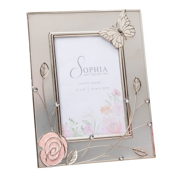 Butterfly Frosted Glass & Wire Photo Frame