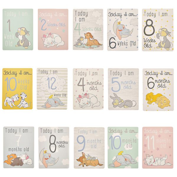 Disney Magical Beginnings Baby 30 Milestones Cards
